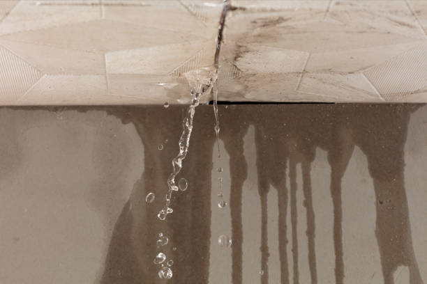 Professional Structural Drying technician working in Holloway, OH